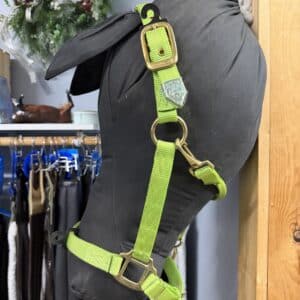 Hamilton Nylon Horse Halter in vibrant nylon material
