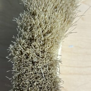 Stablemates Hard Brush