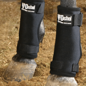 Cashel Stall Sore Boot protecting horse foreleg from pressure sores
