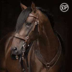 DP Soft Feel Baroque Headstall Decor SF41