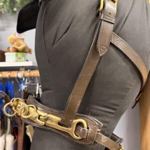 Cavesson Lunge Halter with Brass Plates