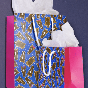 Dreamers and Schemers Hairy Styles Gift Bag