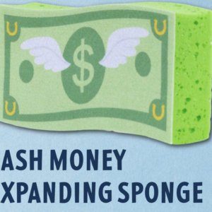 Dreamers and Schemers Cash Money Expanding Sponge