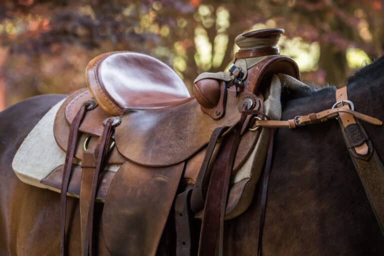 The Trainer's Loft parts of a western saddle, Detail of a wester wade saddle in a beautiful sunset light